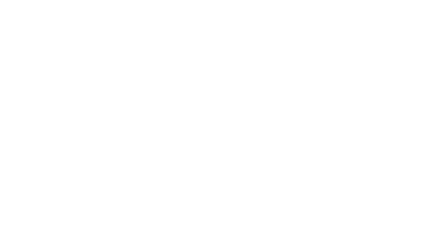 Munich RE